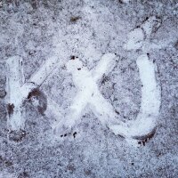 Karl X Johan (@karlxjohan) 's Twitter Profile