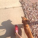 Anna Rae Roo - @rae_roo - Twitter