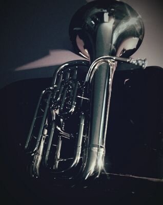I am a euphonium player, or a baritone player, whatever you wanna call it. Fellow euphonists (if you really exist) I know there's a difference. Nobody cares.