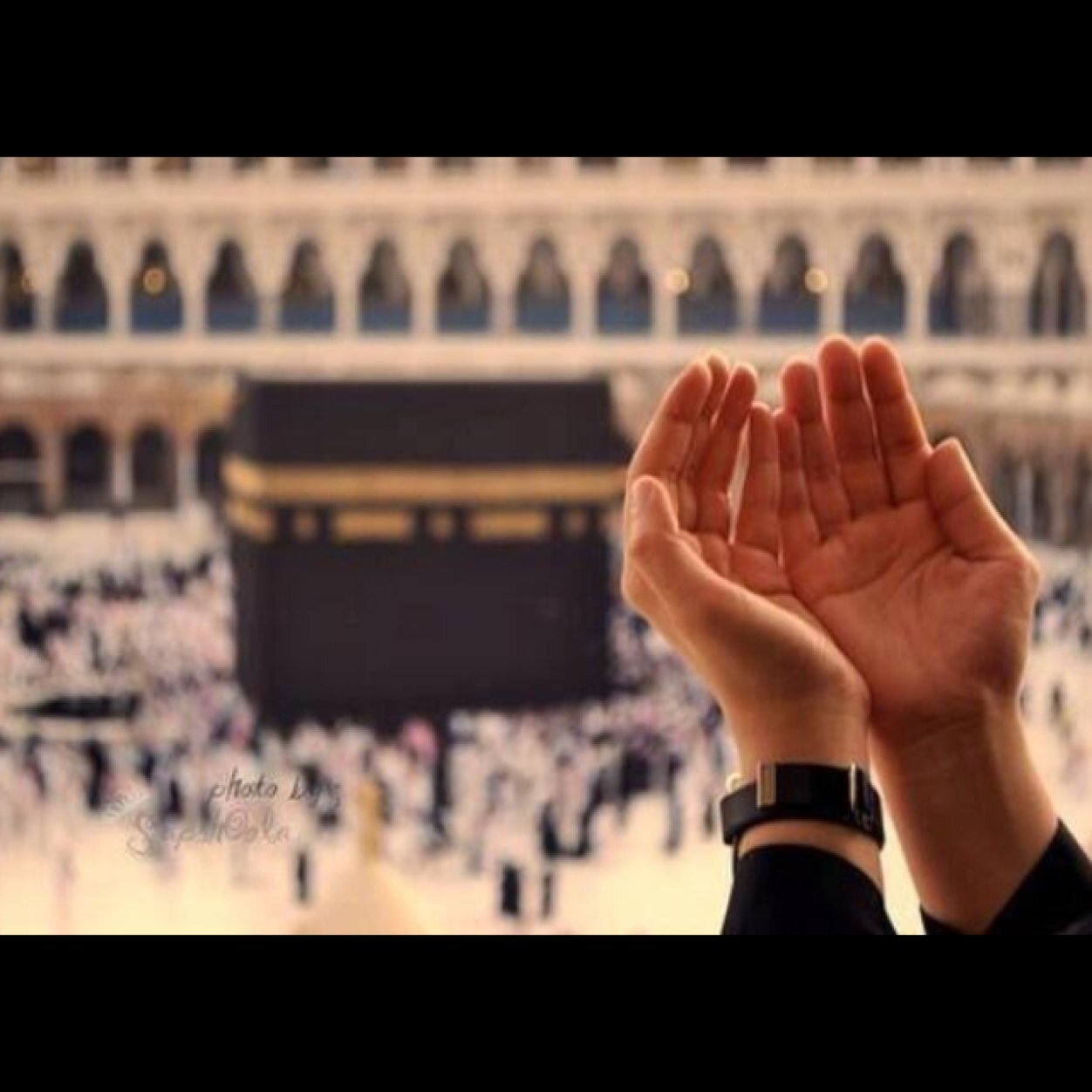 اللهم اجعلنا من حجاج بيتك الحرام ولجميع اخوانى المسلمين امين