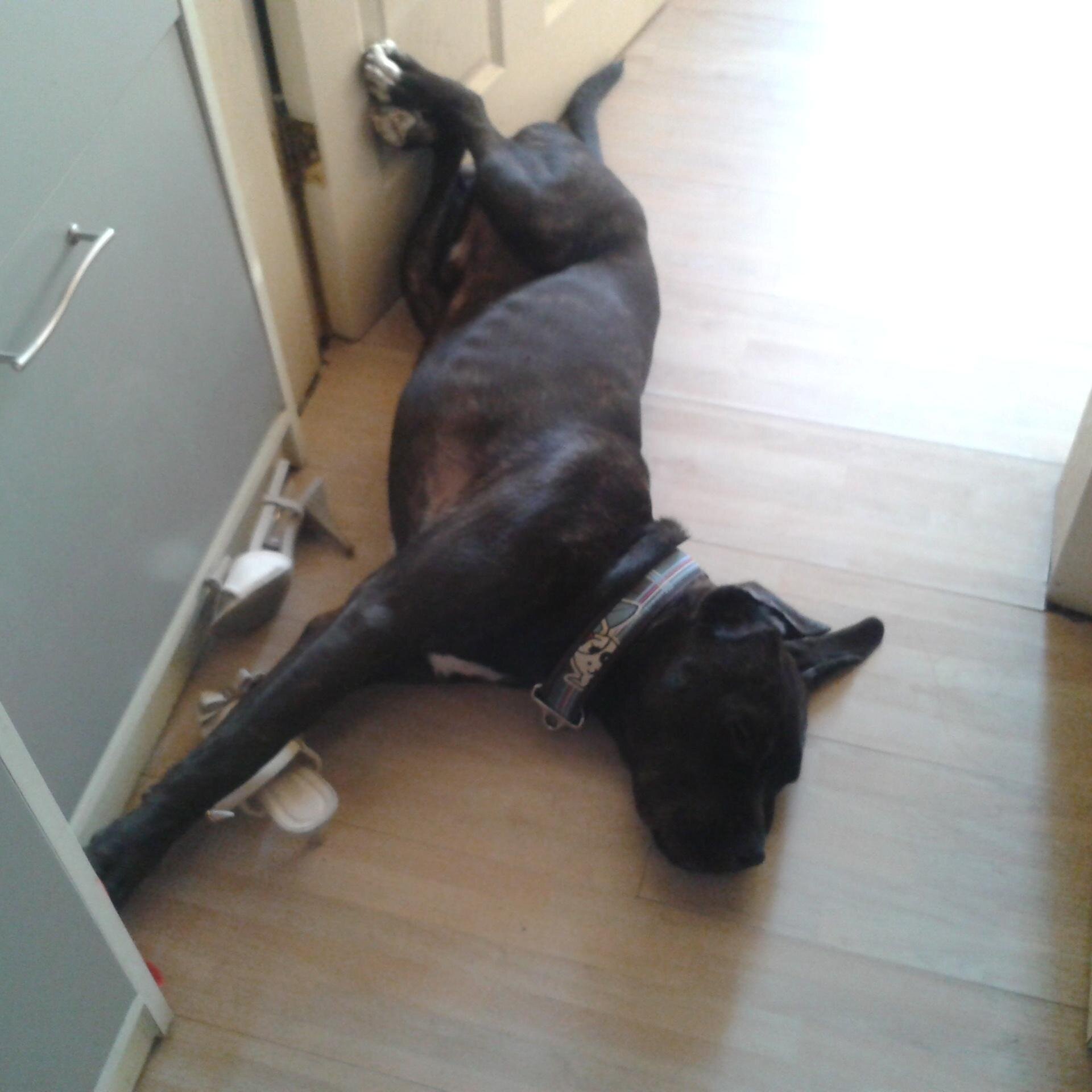 gretademetriou's profile picture. 