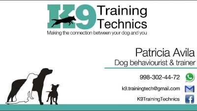 k9trainingtech's profile picture. 