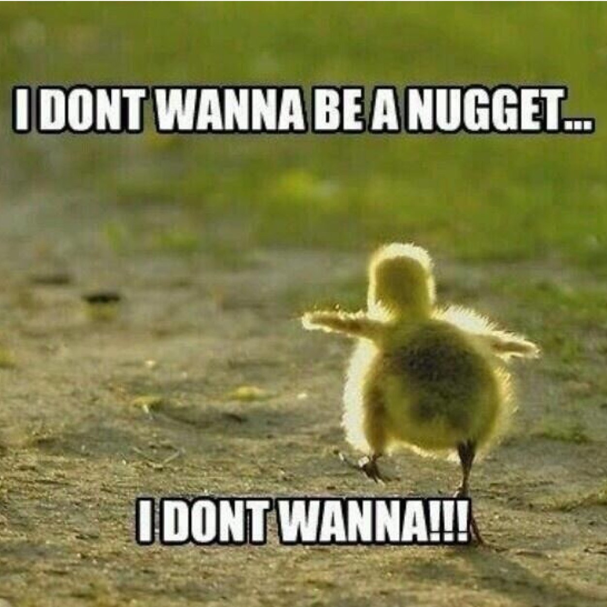 I'm not really gonna use this account anymore but i will still Follow Back so ily