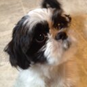 Joanne McLeod - @joannesmcleod - Twitter