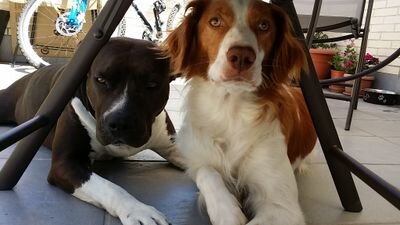 carolch2409's profile picture. 