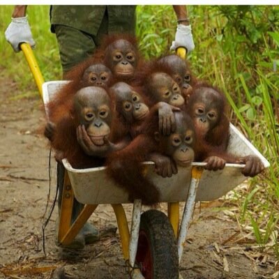 edcruz88's profile picture. 