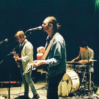 Greylag (@greylagmusic) 's Twitter Profile