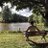 OrhanGunesh's profile image