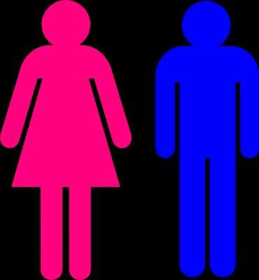 BGdifferences's profile picture. Some insights on how different girls and boys really are.