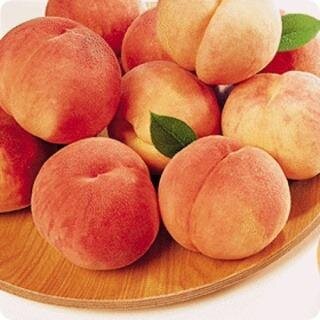 ektnfl1's profile picture. 맑은 영혼의 소유자