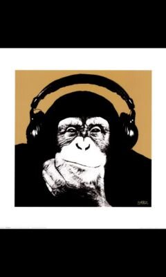 www.YouTube. com/Am Kinki