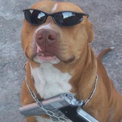sou legal sério , minha mãe acha