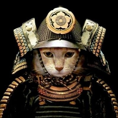 IN #AI WE TRUST.
IN #DOGE WE TRUST.
IN #SHIBA WE TRUST.
https://t.co/g8ENkwDM1e