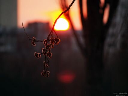 Quarante-quatre couchers de soleil. Ma phrase préférée est: tu te fous de ma gueule ?.