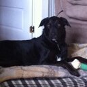 Kim Morrell - @clean_69 - Twitter