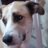 guille7632's profile image