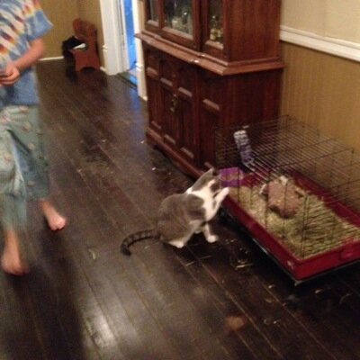 ellensmith623's profile picture. MS 2002. after marrying for 4 months was diagnosed.I marry to wonderful husband and beautiful daughter. proud to support LGBTQ 🏳️‍🌈 , Democrat & BLM