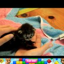 nayeli roldan - @Elsa008Roldan - Twitter