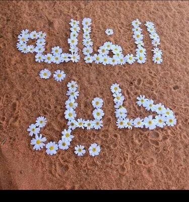 ربي اشرح لي صدري ويسر لي امري