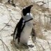 Linux Beginning (@linuxbeginning) Twitter profile photo Linux Beginning (@linuxbeginning) Twitter profile photo