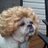 DoubleRWPG's profile image