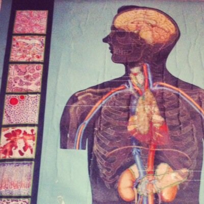 cathartic2104's profile picture. Music loving, book devouring, dark chocolate stalking, roller derby enamoured, vegan speech pathologist, with a penchant for the amusing and the amused.