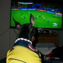 Franklin Roa - @FrankDelMar2 - Twitter