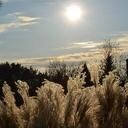 Kimberly Patrick - @kdpatrick - Twitter