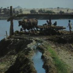 بلد الخير والطيبه
