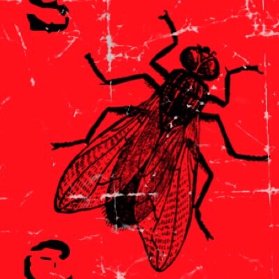 RootsRiotMusic's profile picture. Promoting, producing, booking, recording, and live sound for roots music.