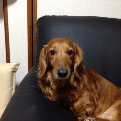 忠臣蔵のあの安兵衛です！