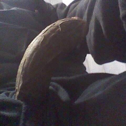 horny black man ladies wanna have some fun?