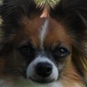 marie brookins - @harrryshouse - Twitter