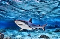 john_licks's profile picture. 