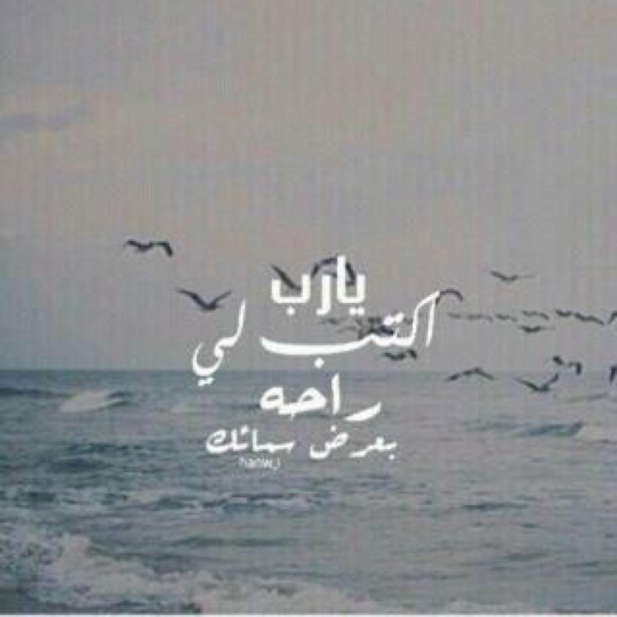 يارب ماء الجنہ وبرد الجنہ وحُب الجنہ -  وبقاء الجنہ♡