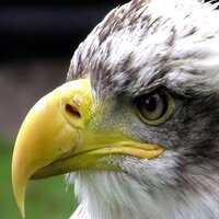 MUDHAFFAR (@wa7_mu) 's Twitter Profile