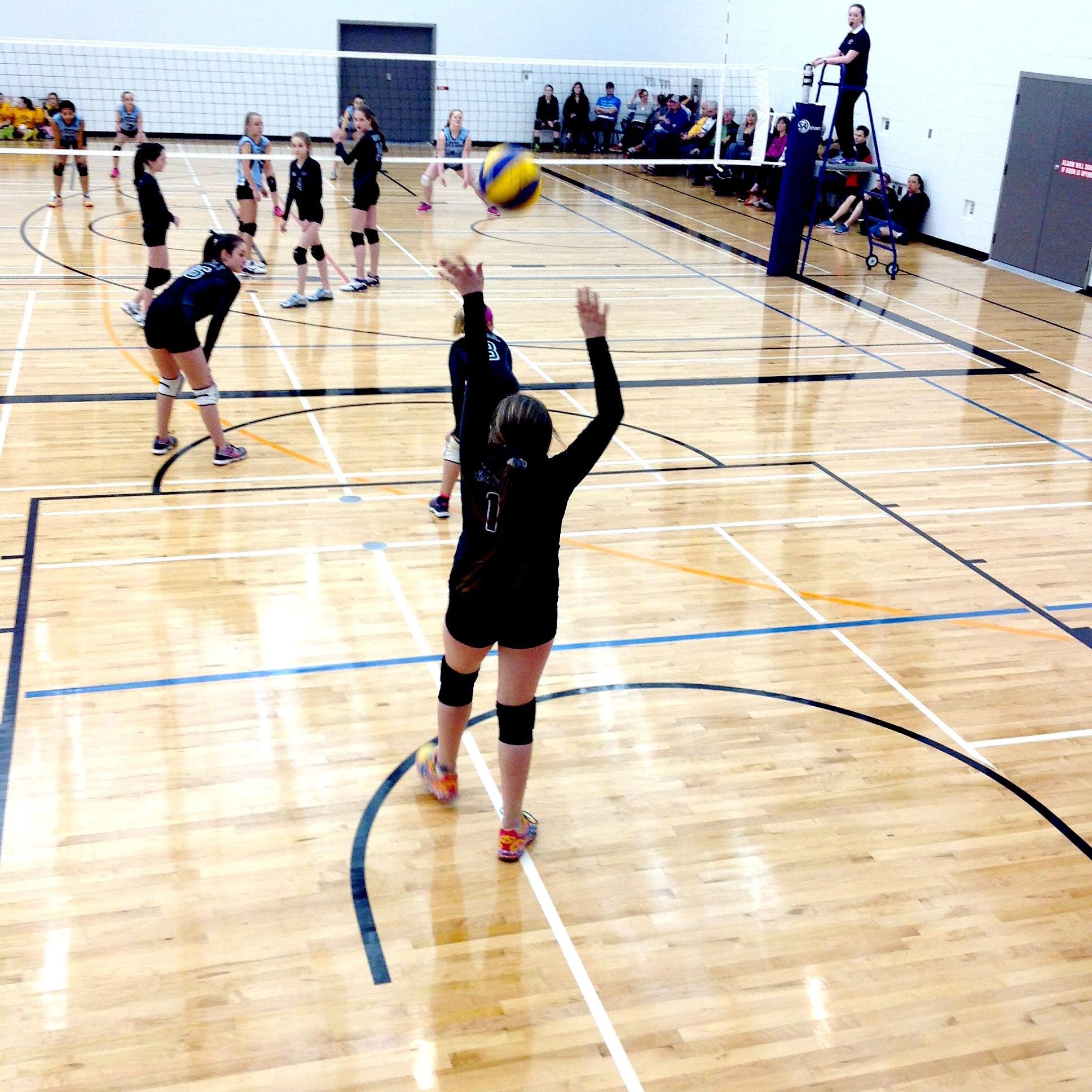 Instagram ll @thevolleyballlife11 ll
