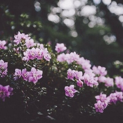 I'm sorry that I keep writing about you.
