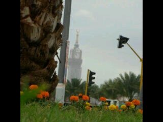 ‏‏‏لا اله الا الله~السناب : mj_177