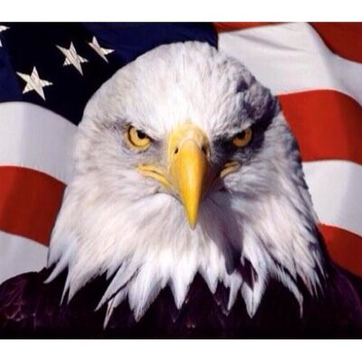 july4thjokes Profile Picture