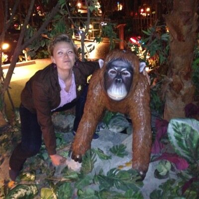 Melpenn83's profile picture. Wheat-free, paleo amateur, mountain biker who's always hunting for good dark chocolate