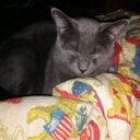 Shaun Flood - @sf51600 - Twitter