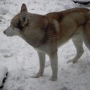 John Warren - @LesWarren2 - Twitter