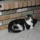 Beverly Schultz - @bschultz91199 - Twitter