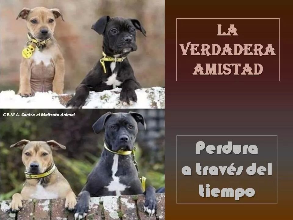 alexginerzavalt's profile picture. .