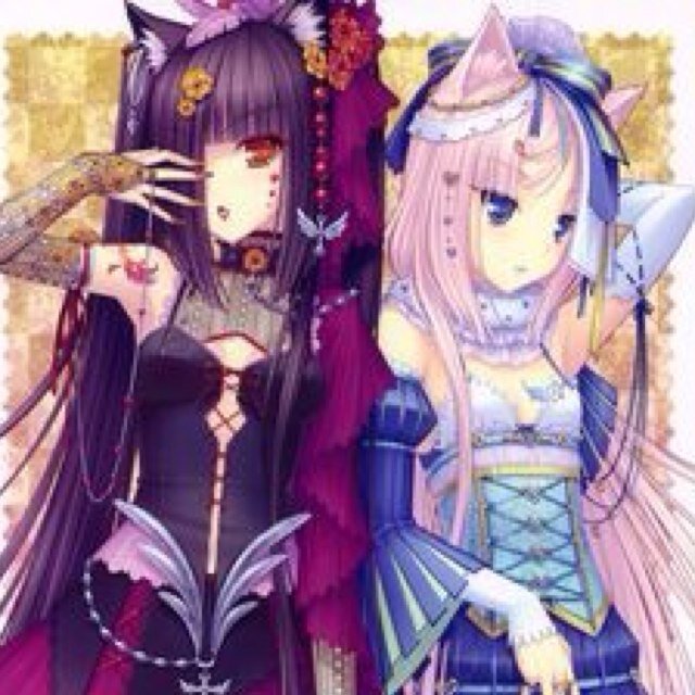 Lunar: Hi i'm Lunar!! I like and love everything! I luuuvvv cookies can i have some please.. Bella: Um H-hi i'm B-Bella i'm th-the shy one. Both #Single