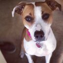 Lucy Terry - @lucyylouuhoo - Twitter