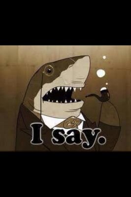 boydn25's profile picture. 