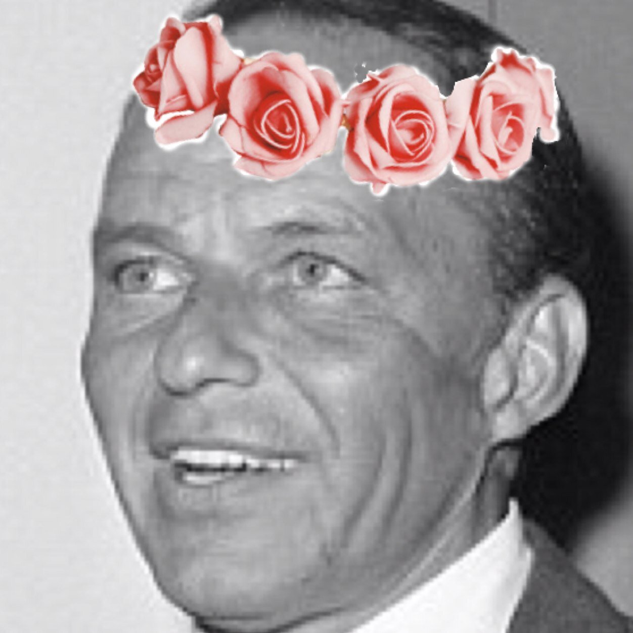 The Voice and member of The RatPack father of @Tina_Sinatra @Gumbychairboy (TRIBUTERP) [not really the real Frank Sinatra] personal:@MrsPresleyDepp