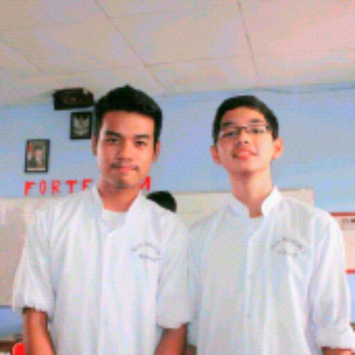 TIB 51